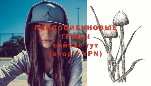 твердый Верея