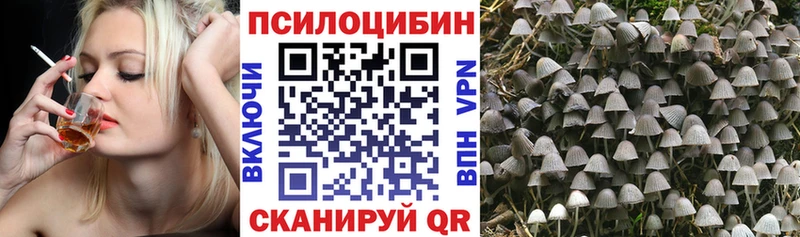 купить наркотик  Балаково  Галлюциногенные грибы MAGIC MUSHROOMS 